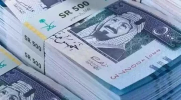 تحديثات الأسعار.. استقرار سعر الريال السعودي مقابل الجنيه لدى البنك الأهلي